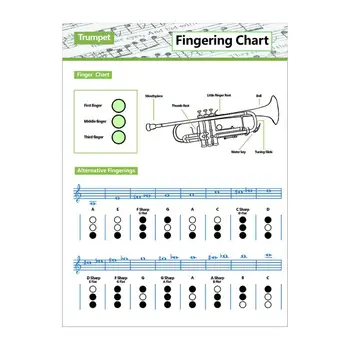 Таблица аппликатуры на трубе Плакат с аппликатурой на трубе Плакат с аккордом на трубе Таблица Аппликатуры Ноты аккорда Ссылка на Музыкальный инструмент