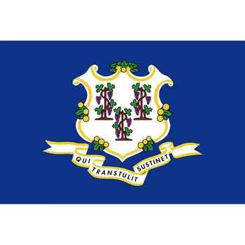 Флаг штата Коннектикут, Декоративные флаги штатов США, Индивидуальные края баннера с двойной строчкой 3 * 5/2 * 3 фута